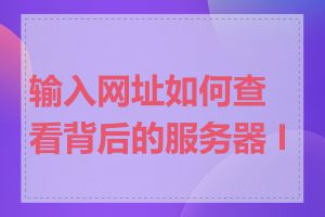 输入网址如何查看背后的服务器 IP