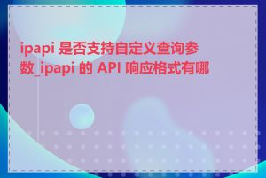 ipapi 是否支持自定义查询参数_ipapi 的 API 响应格式有哪些