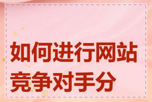 如何进行网站竞争对手分析