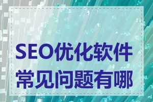 SEO优化软件常见问题有哪些