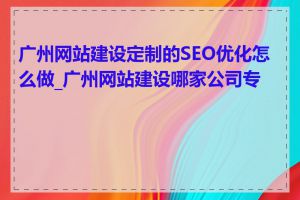 广州网站建设定制的SEO优化怎么做_广州网站建设哪家公司专业