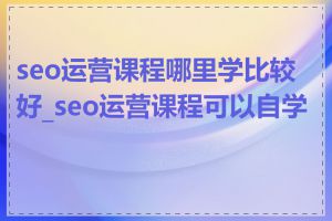 seo运营课程哪里学比较好_seo运营课程可以自学吗