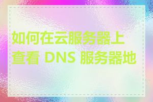 如何在云服务器上查看 DNS 服务器地址