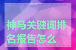 神马关键词排名报告怎么看