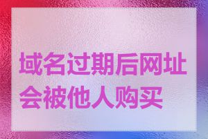 域名过期后网址会被他人购买吗