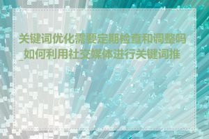 关键词优化需要定期检查和调整吗_如何利用社交媒体进行关键词推广