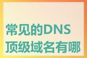 常见的DNS顶级域名有哪些
