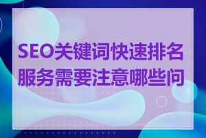SEO关键词快速排名服务需要注意哪些问题