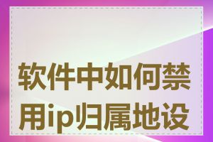 软件中如何禁用ip归属地设置
