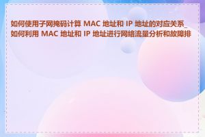 如何使用子网掩码计算 MAC 地址和 IP 地址的对应关系_如何利用 MAC 地址和 IP 地址进行网络流量分析和故障排查