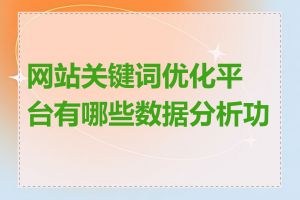 网站关键词优化平台有哪些数据分析功能
