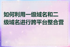 如何利用一级域名和二级域名进行跨平台整合营销