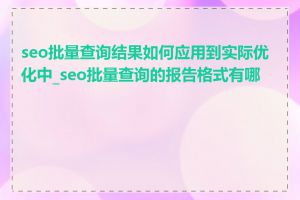 seo批量查询结果如何应用到实际优化中_seo批量查询的报告格式有哪些