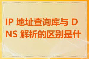 IP 地址查询库与 DNS 解析的区别是什么