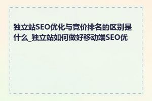独立站SEO优化与竞价排名的区别是什么_独立站如何做好移动端SEO优化