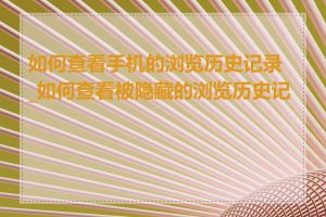 如何查看手机的浏览历史记录_如何查看被隐藏的浏览历史记录