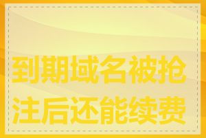 到期域名被抢注后还能续费吗