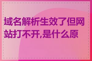 域名解析生效了但网站打不开,是什么原因