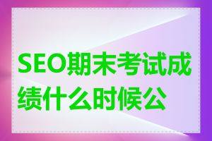 SEO期末考试成绩什么时候公布