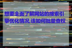 想要全面了解网站的搜索引擎优化情况,该如何批量查权重