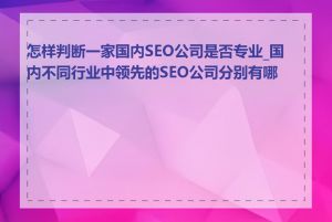 怎样判断一家国内SEO公司是否专业_国内不同行业中领先的SEO公司分别有哪些