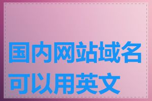 国内网站域名可以用英文吗
