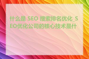 什么是 SEO 搜索排名优化_SEO优化公司的核心技术是什么