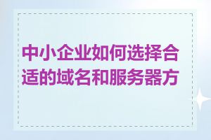 中小企业如何选择合适的域名和服务器方案