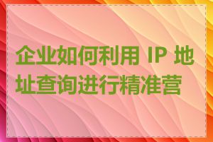 企业如何利用 IP 地址查询进行精准营销