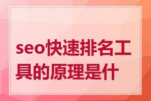 seo快速排名工具的原理是什么