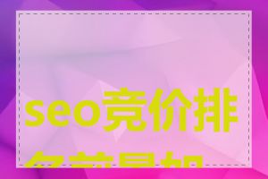 seo竞价排名前景如何