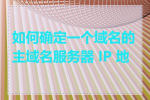 如何确定一个域名的主域名服务器 IP 地址