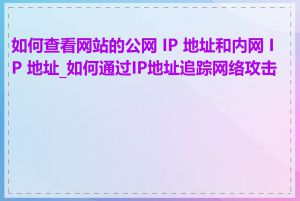 如何查看网站的公网 IP 地址和内网 IP 地址_如何通过IP地址追踪网络攻击者