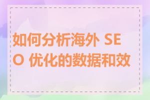 如何分析海外 SEO 优化的数据和效果