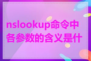 nslookup命令中各参数的含义是什么