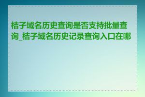 桔子域名历史查询是否支持批量查询_桔子域名历史记录查询入口在哪里