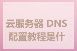 云服务器 DNS 配置教程是什么