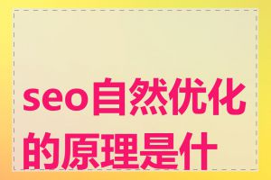 seo自然优化的原理是什么