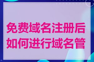免费域名注册后如何进行域名管理