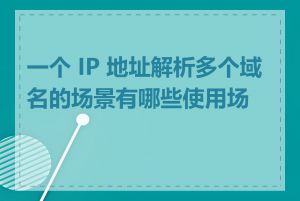 一个 IP 地址解析多个域名的场景有哪些使用场景