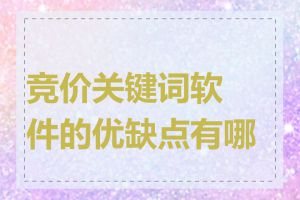 竞价关键词软件的优缺点有哪些