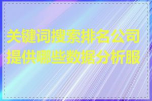 关键词搜索排名公司提供哪些数据分析服务