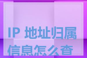 IP 地址归属信息怎么查询