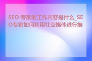 SEO 专家的工作内容是什么_SEO专家如何利用社交媒体进行推广