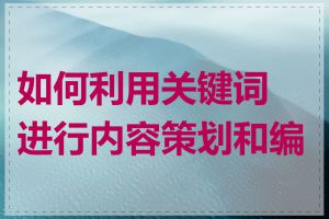 如何利用关键词进行内容策划和编排
