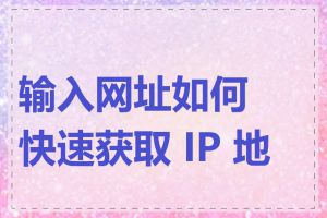输入网址如何快速获取 IP 地址