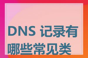 DNS 记录有哪些常见类型