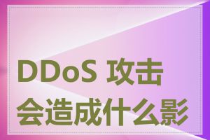 DDoS 攻击会造成什么影响