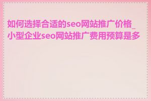 如何选择合适的seo网站推广价格_小型企业seo网站推广费用预算是多少