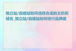 独立站/自建站如何选择合适的主机和域名_独立站/自建站如何进行品牌建设